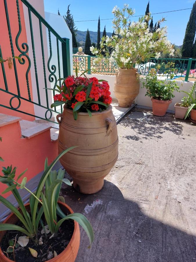 Maria Studios Paleokastritsa Exterior foto